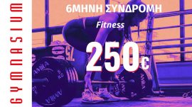 6 μήνες Συνδρομή fitness 250€